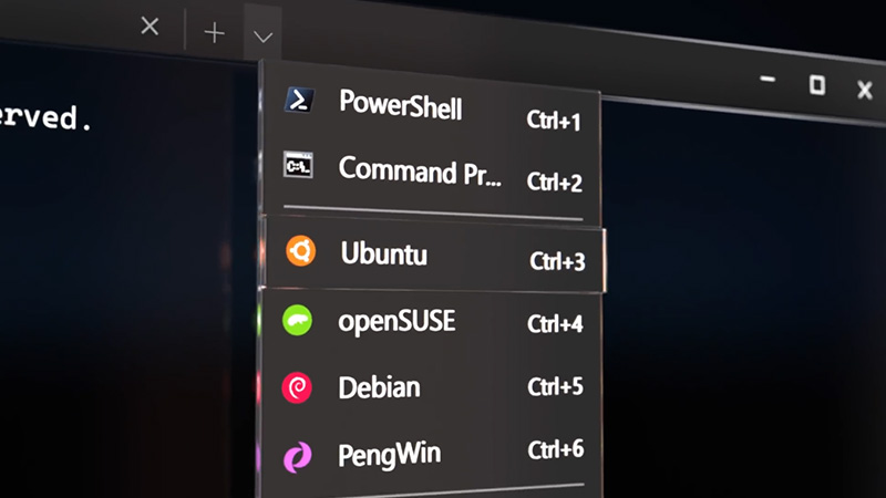 Windows Terminal Panels Image