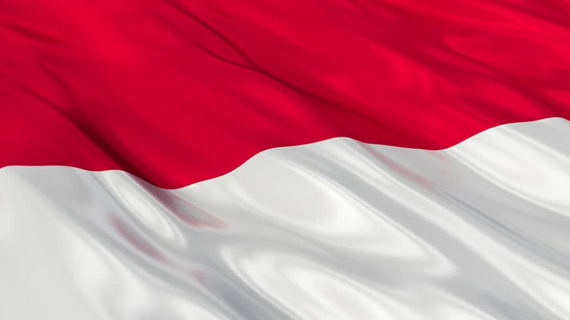 Indonesia Flag