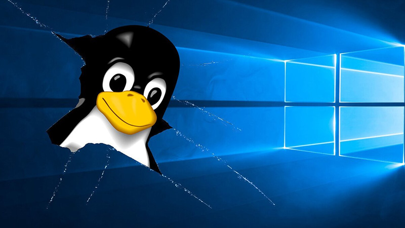 Linux Windows