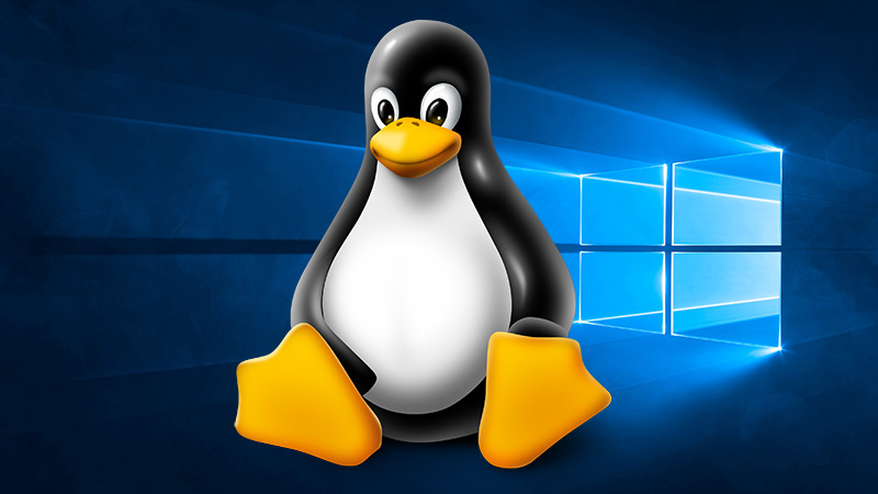 Windows Subsystem for Linux 2